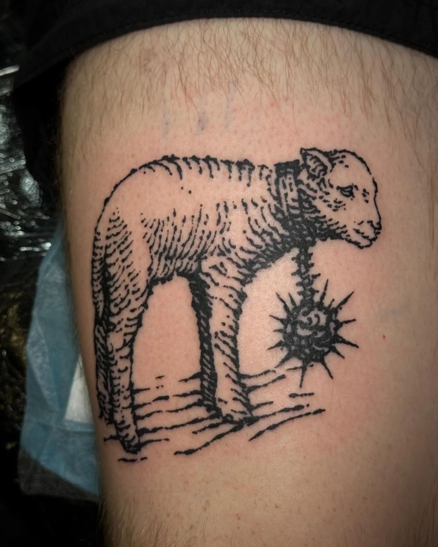Lamb of God, Thankyou for coming to get this! 😁 
.
#tattoo #tattoos #tattooart #tattooartist #tattooartists #blackwork #blackworkers #engraving #engravingtattoo #engravings #woodengraving #engraverstattoo #woodblockprint #woodcut #woodcuttattoos #wo