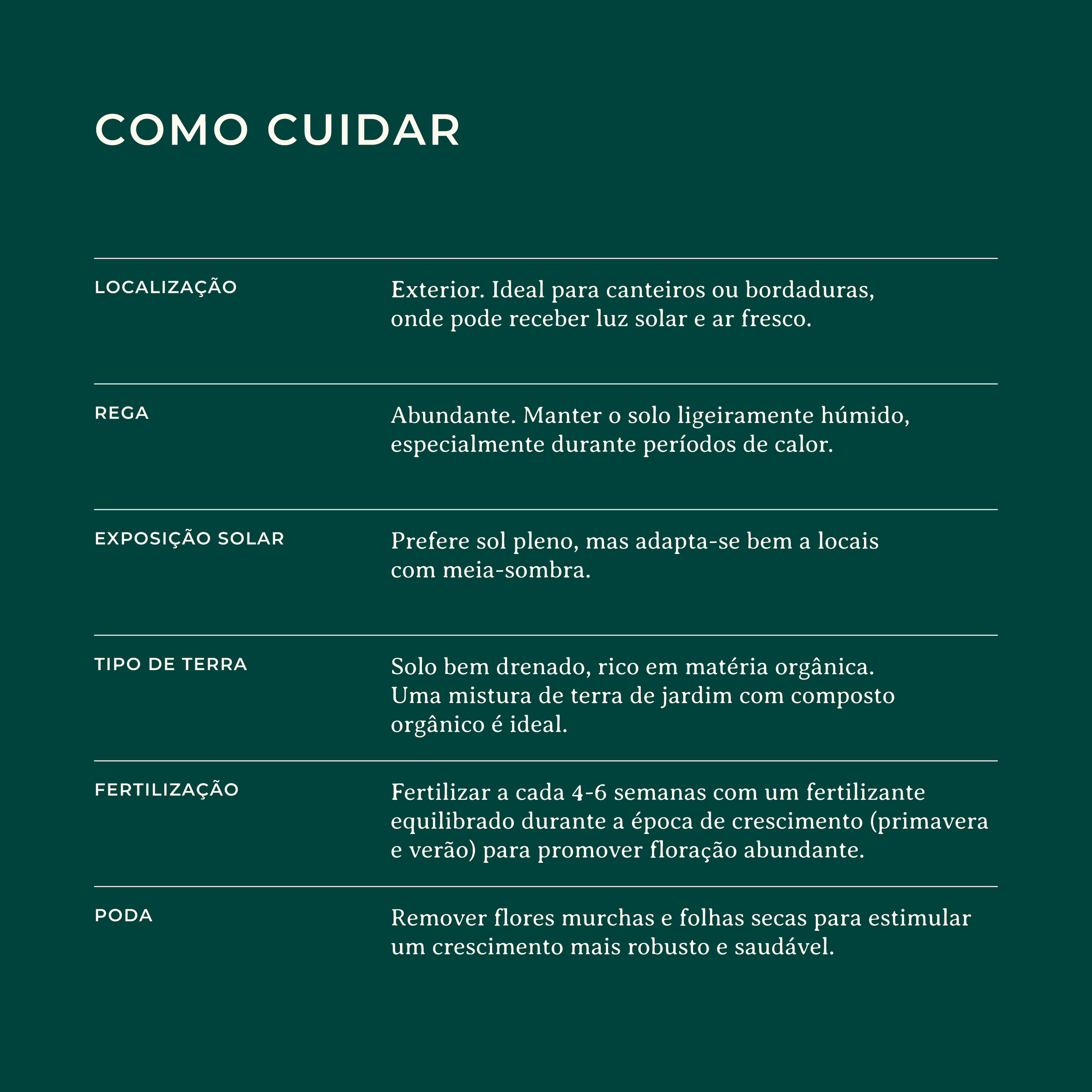 Impatiens-Sunpatiens-Identificacao-Website_Como-Cuidar.png