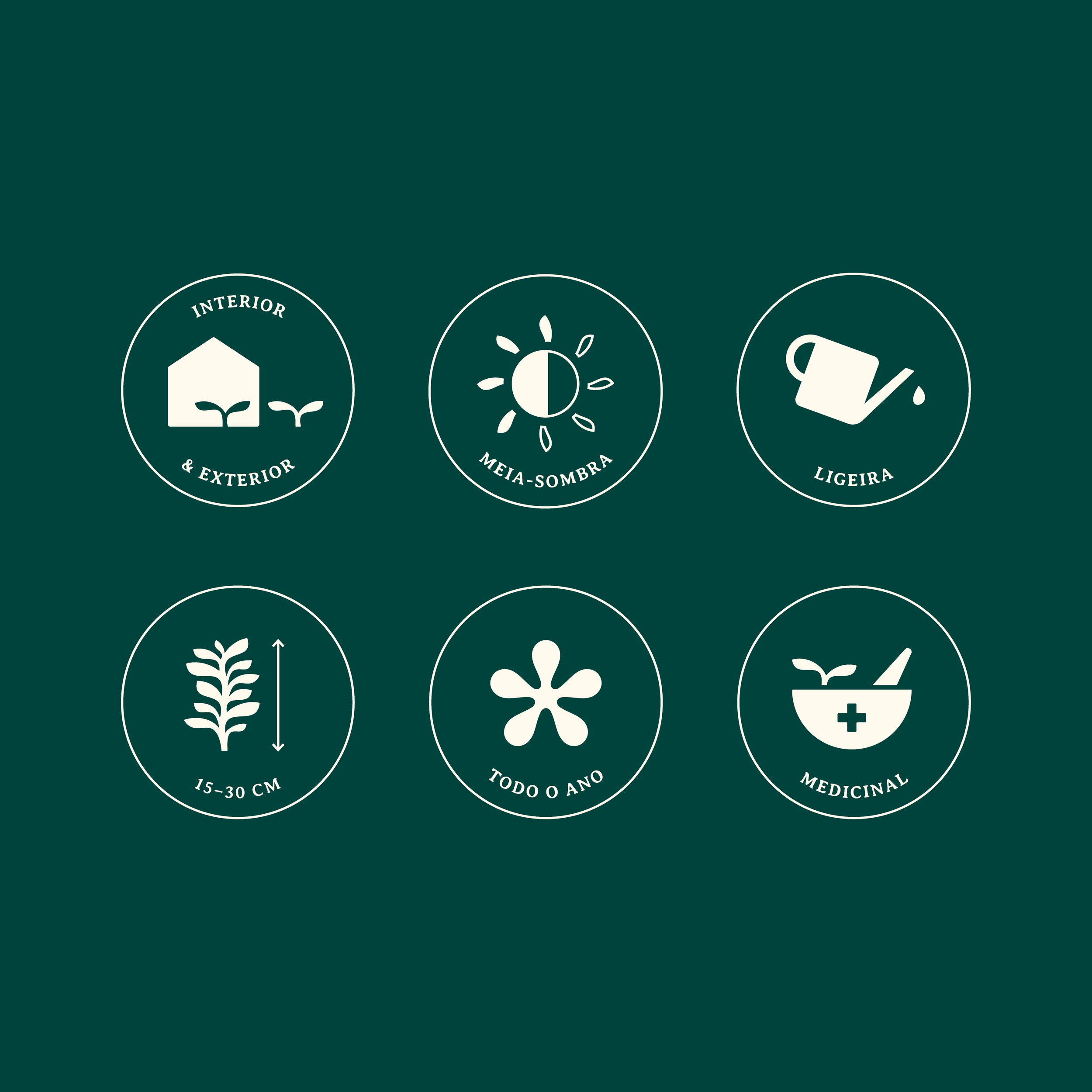 Cyclamen-Identificacao-Website_Iconografia.png