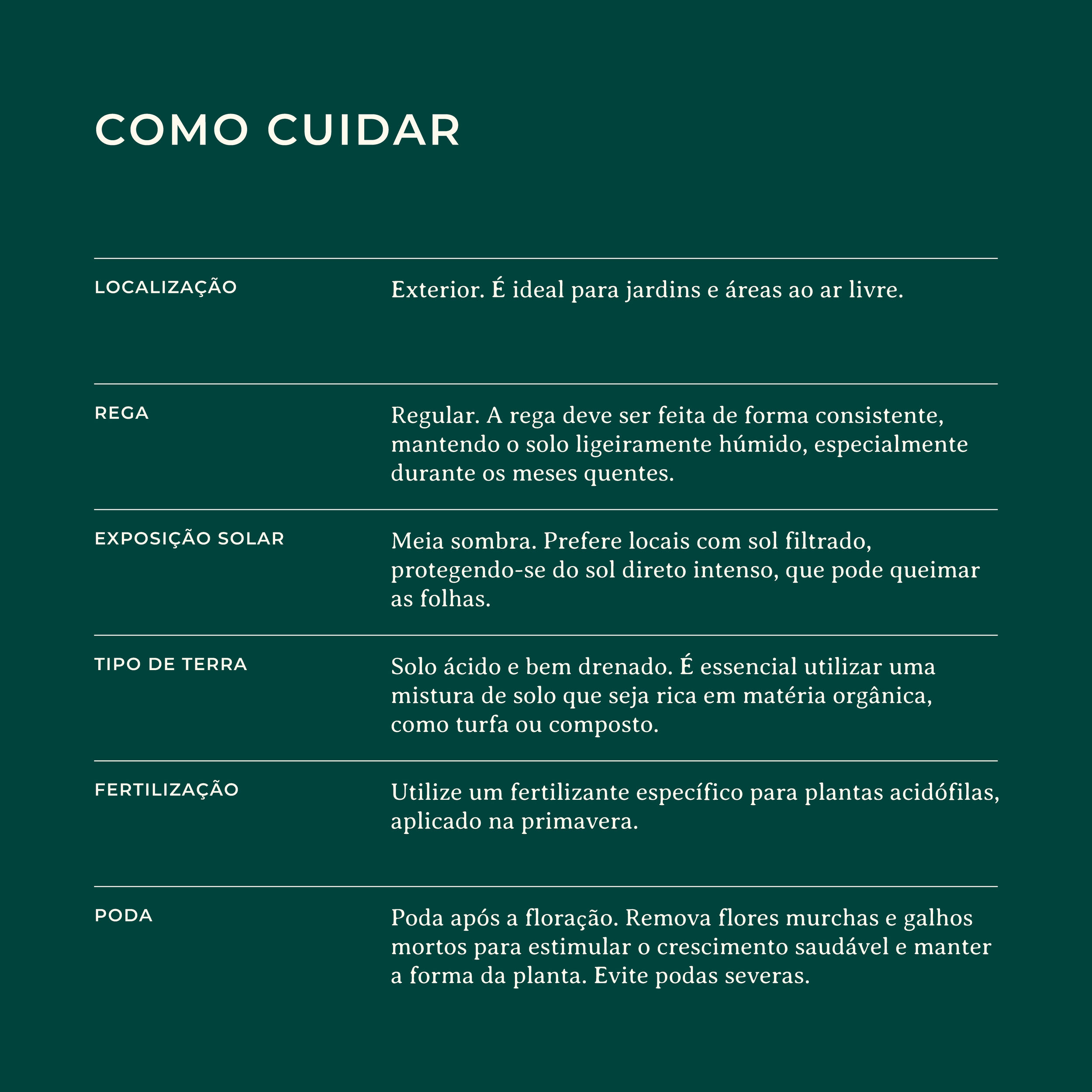 Rhododendron-Alabamense-Identificacao-Website_Como-Cuidar.png
