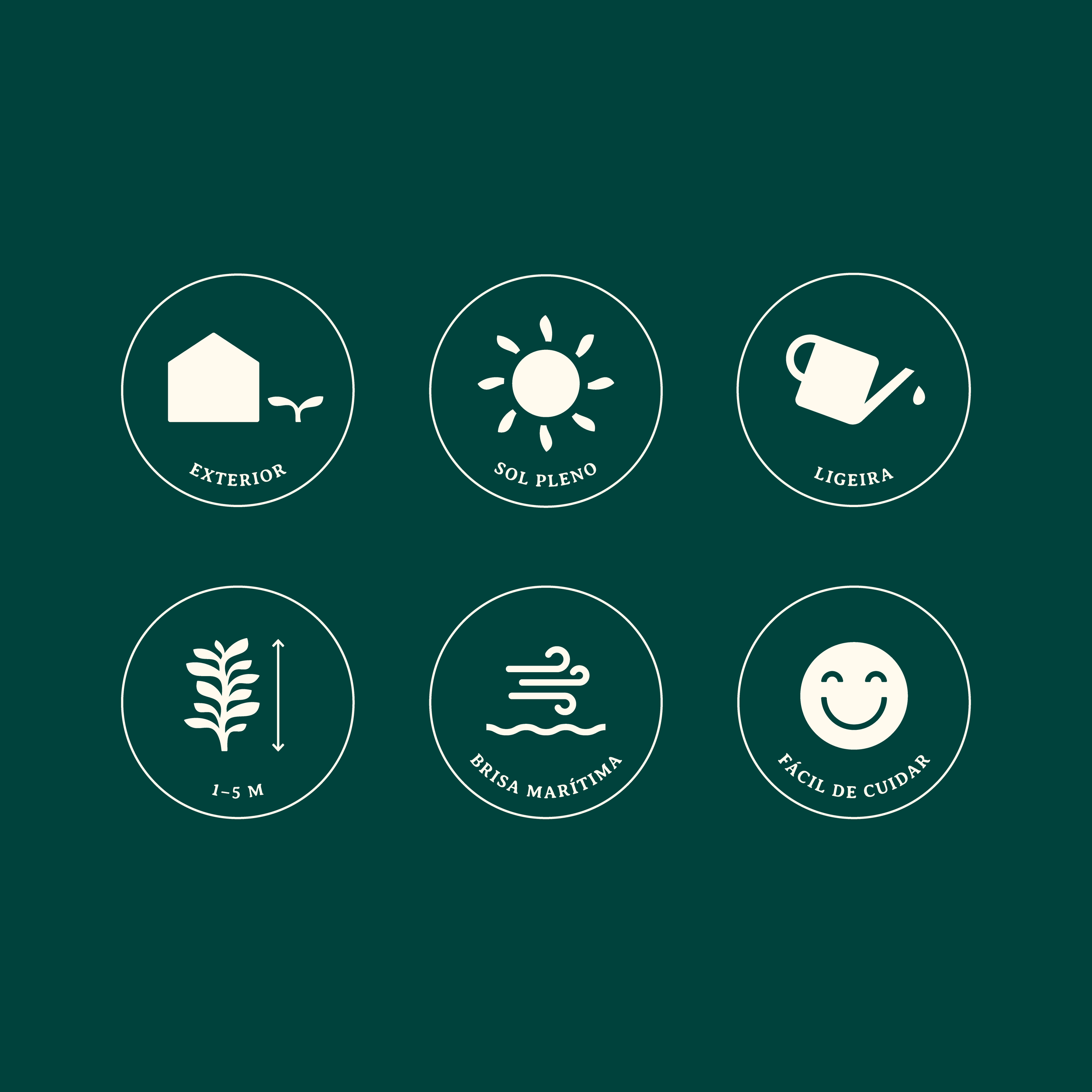 Buxus-Sempervirens-Identificacao-Website_Iconografia.png