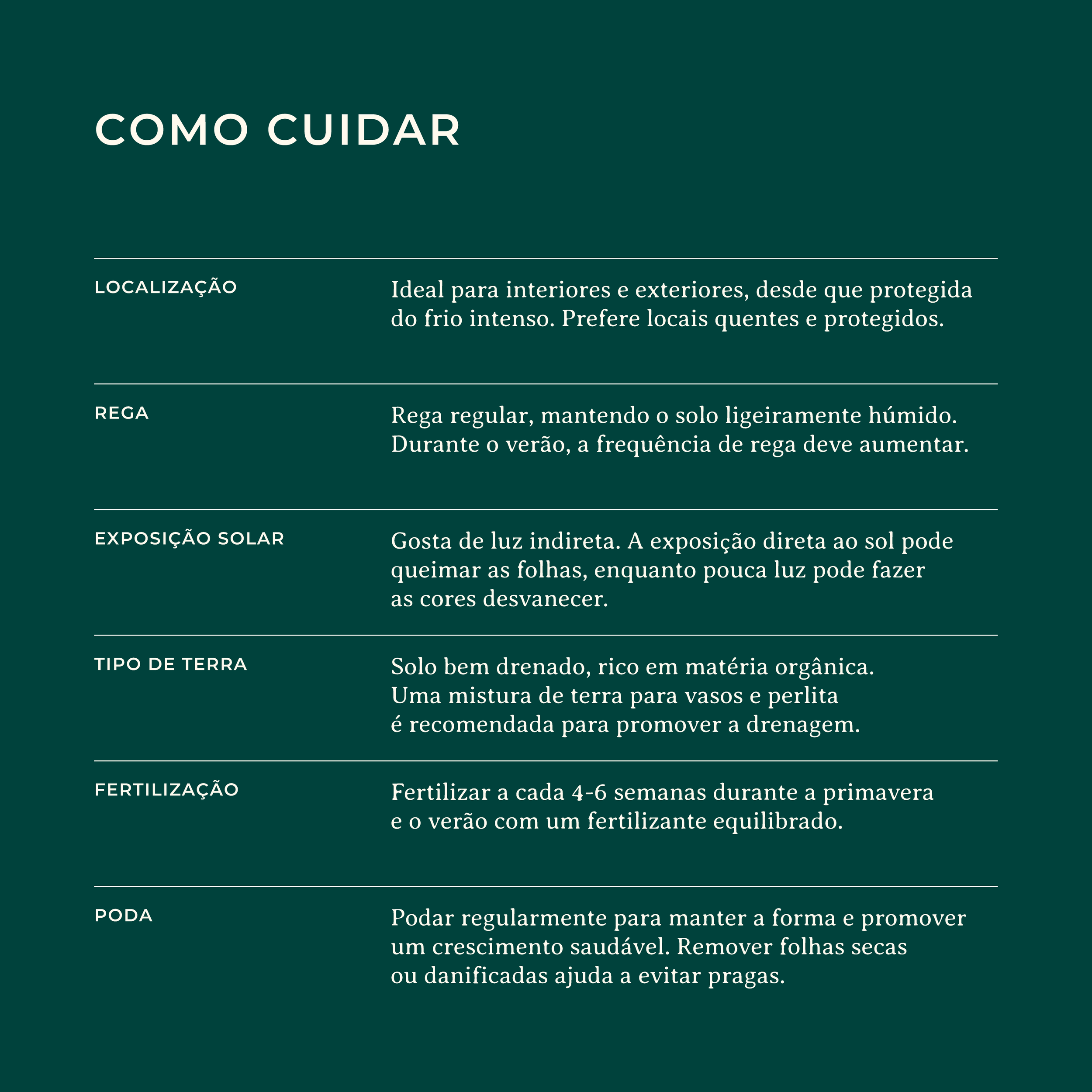 Codiaeum-Variegatum-Identificacao-Website_Como-Cuidar.png