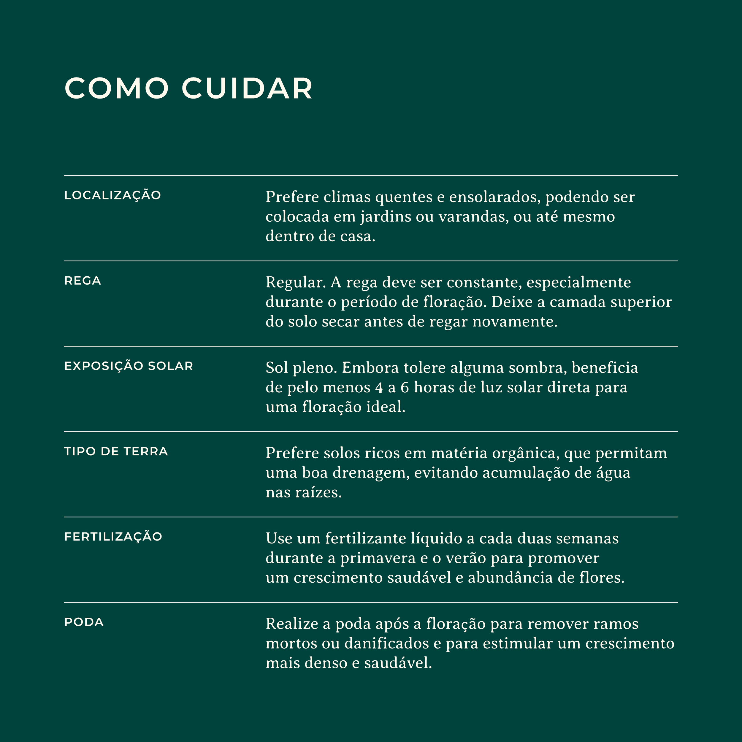 Stephanotis-Floribunda-Identificacao-Website_Como-Cuidar.png