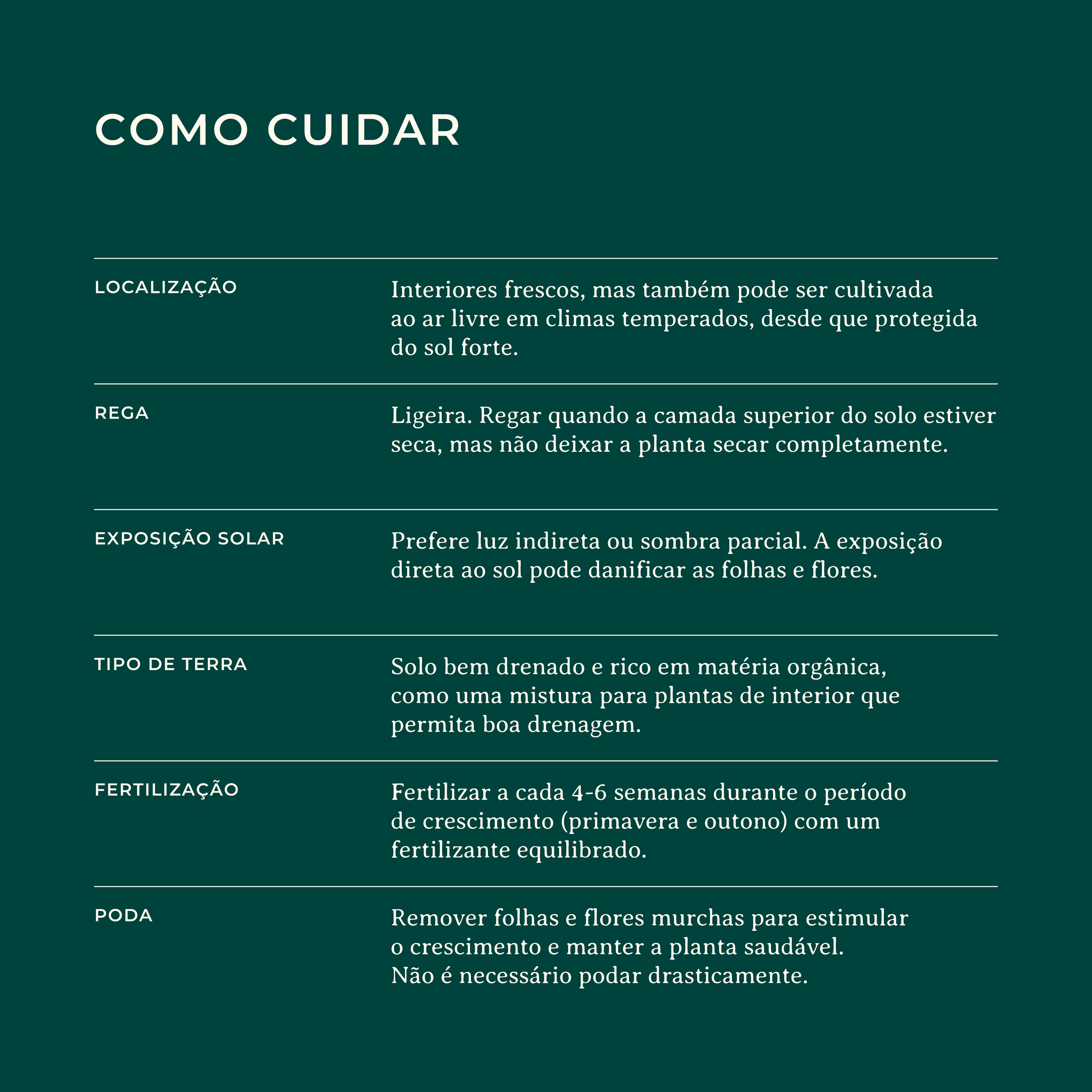 Cyclamen-Identificacao-Website_Como-Cuidar.png