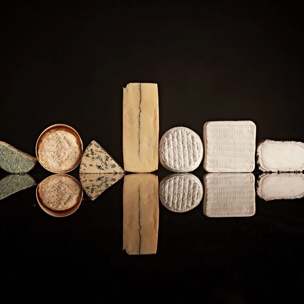 Pong Cheese - The Cheese Club