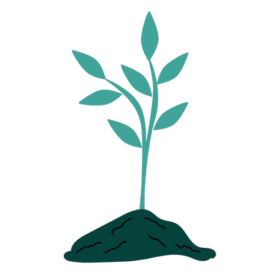 We handle the daily care, updates and optimisation of your website so it’s always performing—keeping content fresh, ensuring security and loading speed, and steering traffic toward conversion.