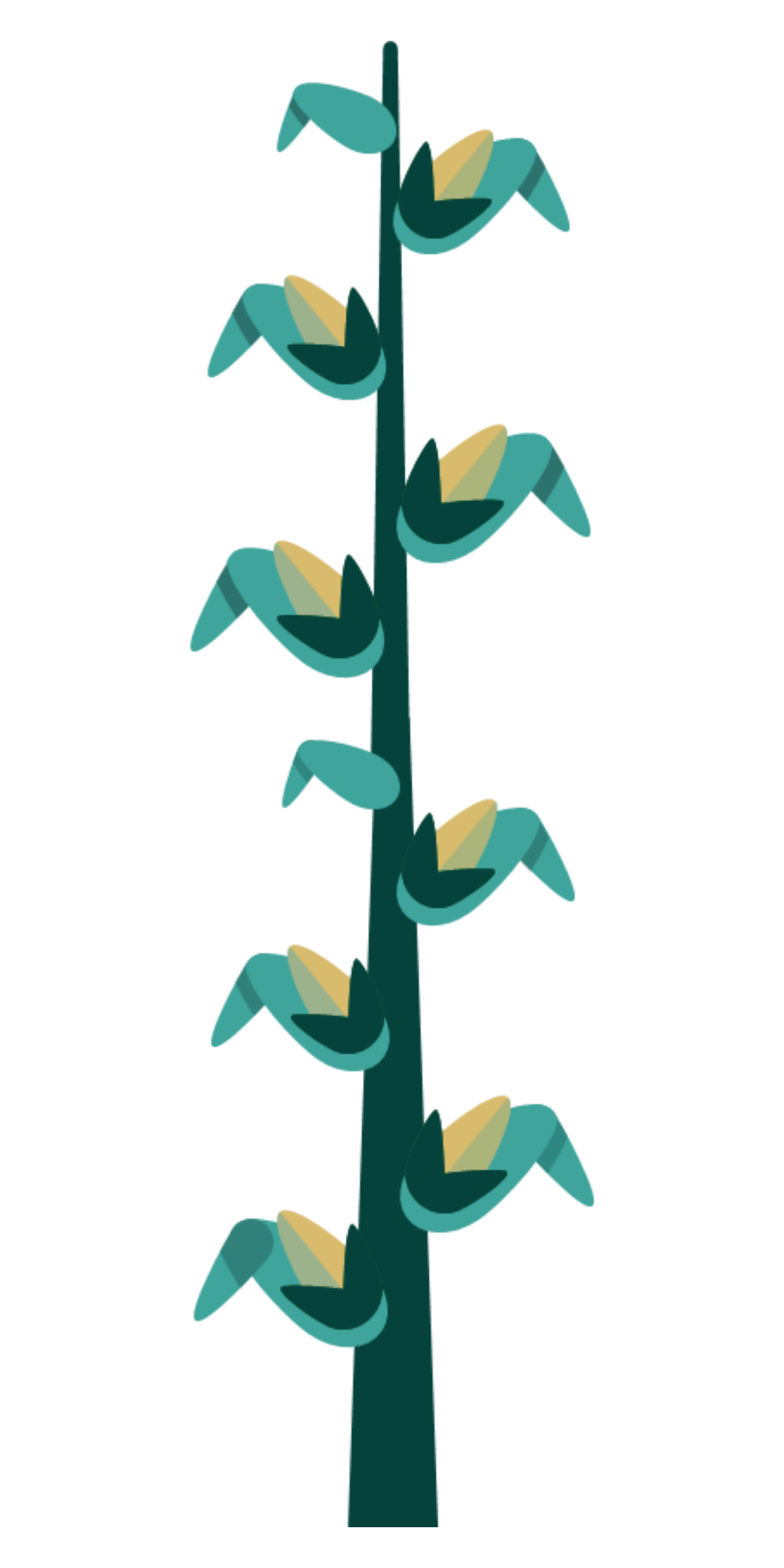 From small seeds, great things grow. Here’s a bit more about Harviste and the services we offer…