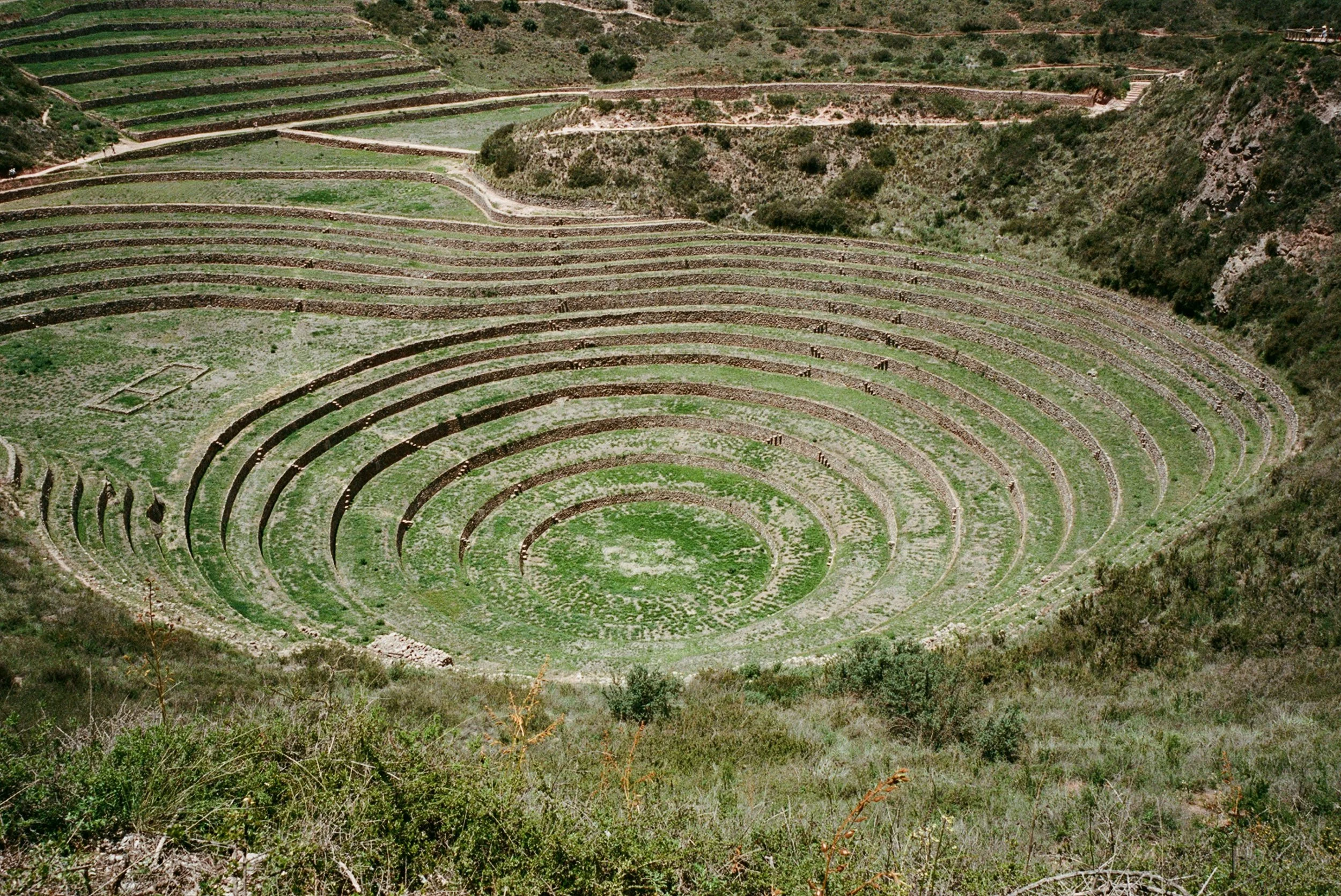 Satellite view of terraces on a hillside, likely an archaeological site, with a small rectangular structure in the center and surrounding vegetation. Gut-health programs introducing variety of ingredients to support the immune system.