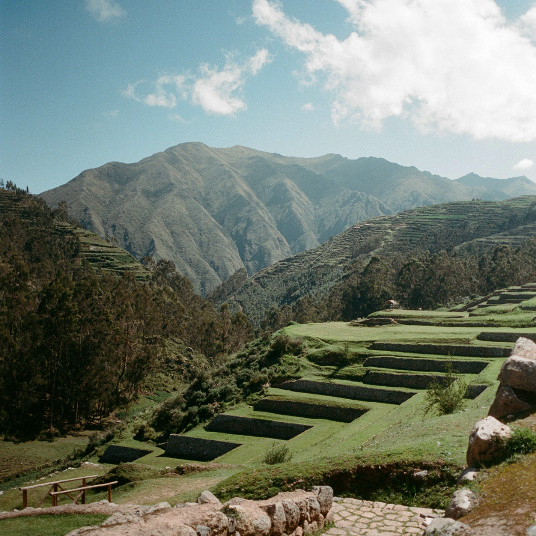 Terraced agricultural fields on a mountainside with green pastures and rocky terrain, in a mountainous landscape under a partly cloudy sky. Organic high-quality ingredients guided by ancestral culinary traditions.