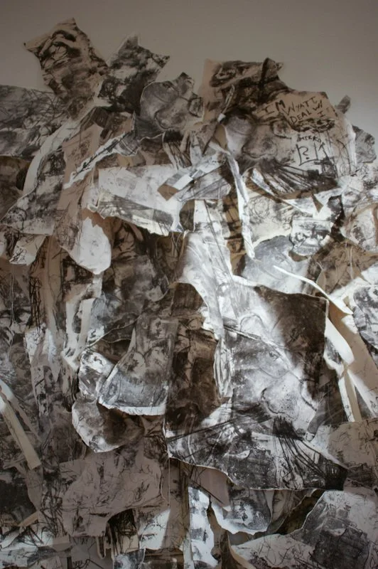 Welcome Home (VAE installation), 2009, stone lithographs and thread