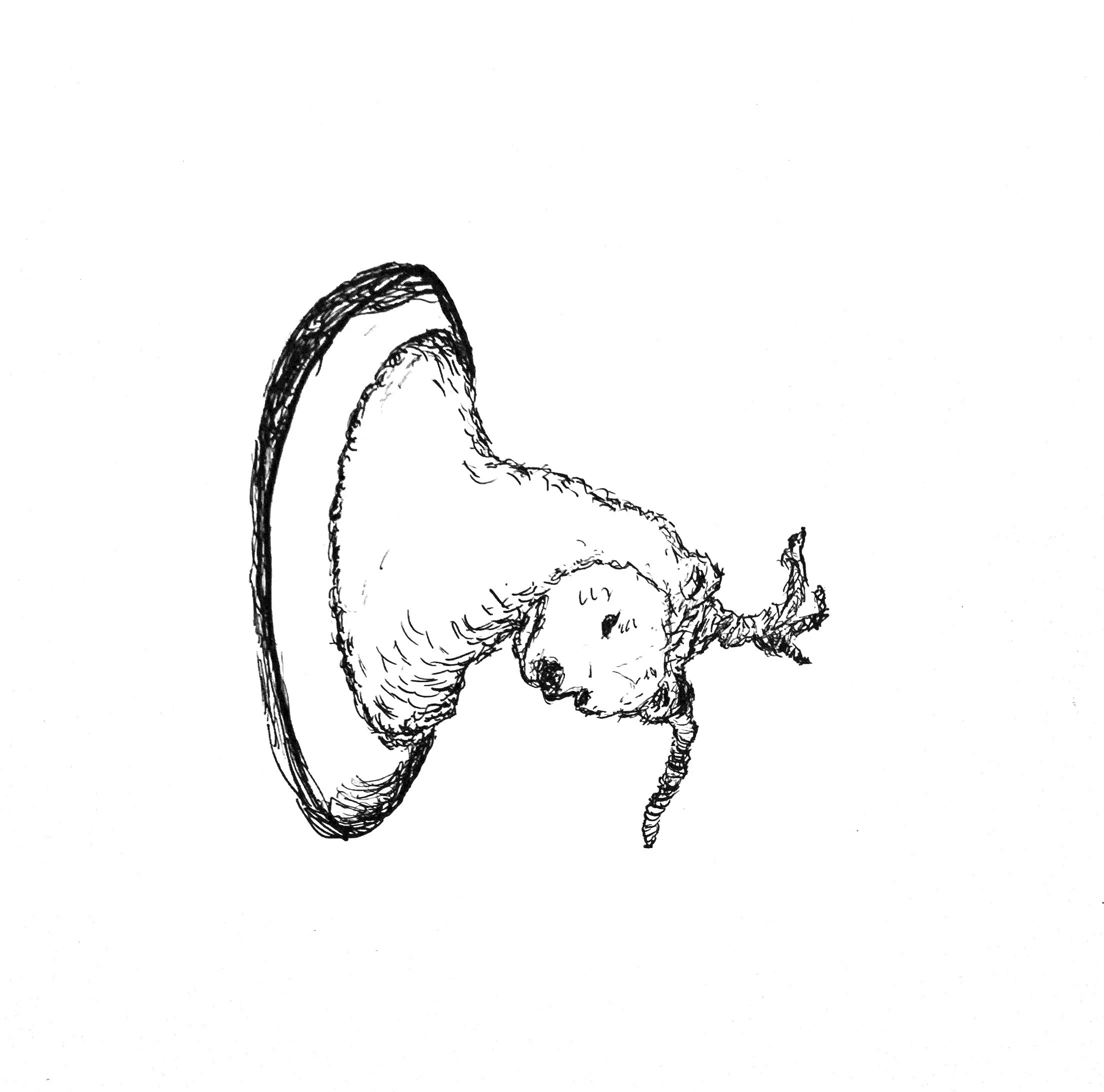 Sad Trophy, 2024, pen and ink