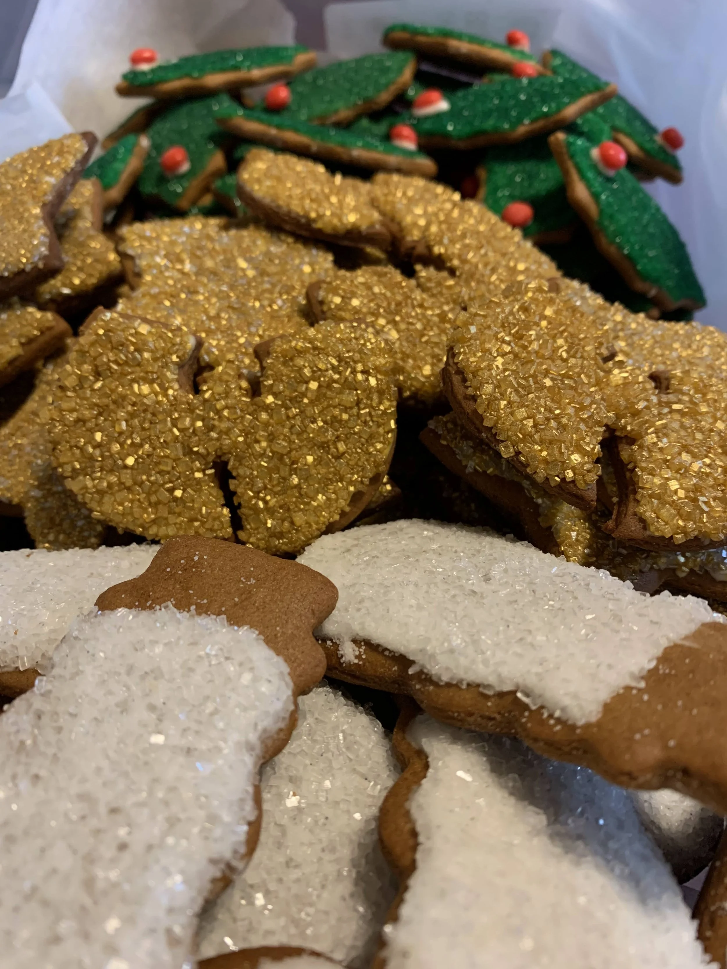 Gingerbread Cookies