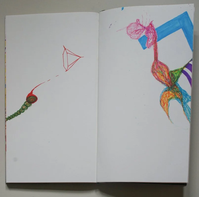 Dear Sister (collaboration with Jaimi Cannata), 2010, artists' book with marker