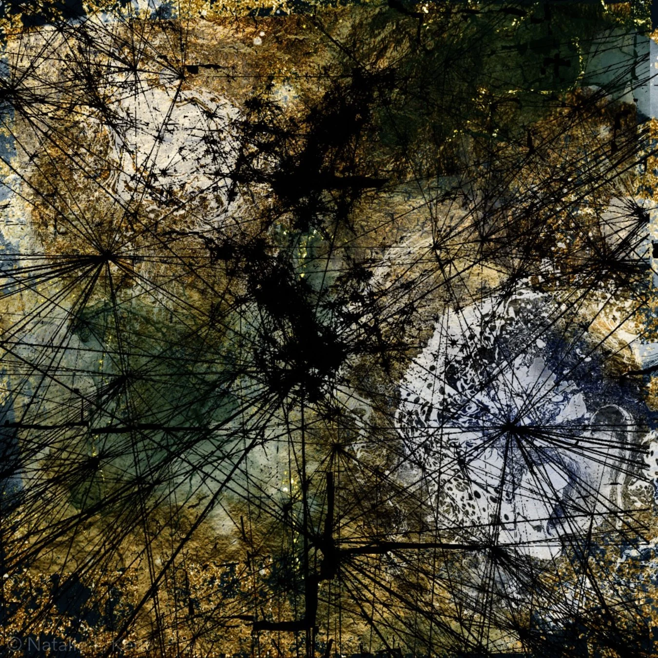 Texture Experiment I, 2024, digital collage made with Adobe Express