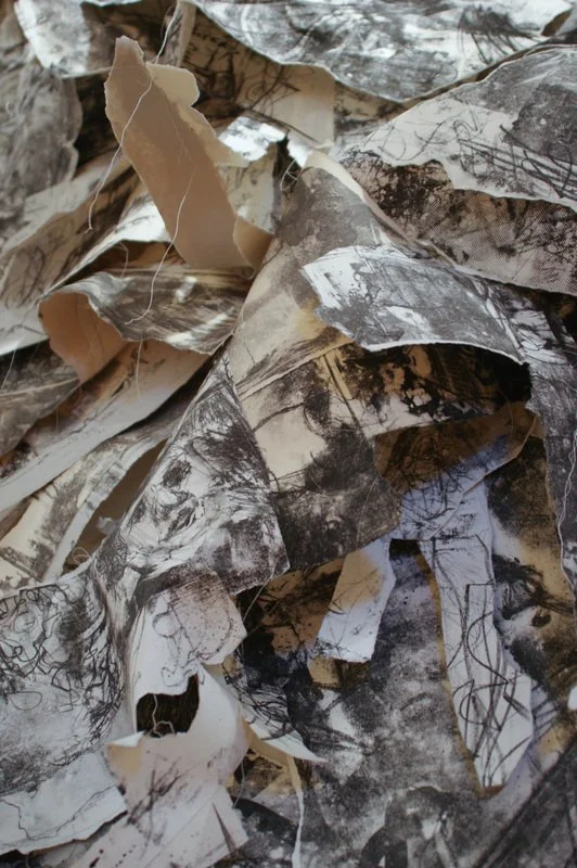 Welcome Home (VAE installation), 2009, stone lithographs and thread