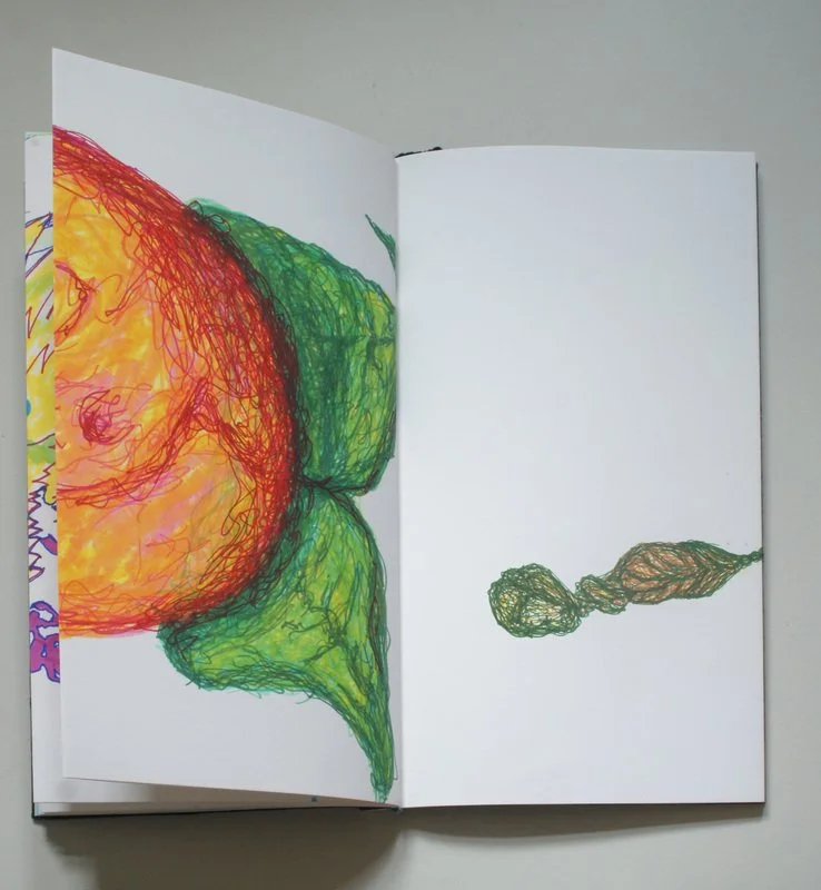 Dear Sister (collaboration with Jaimi Cannata), 2010, artists' book with marker