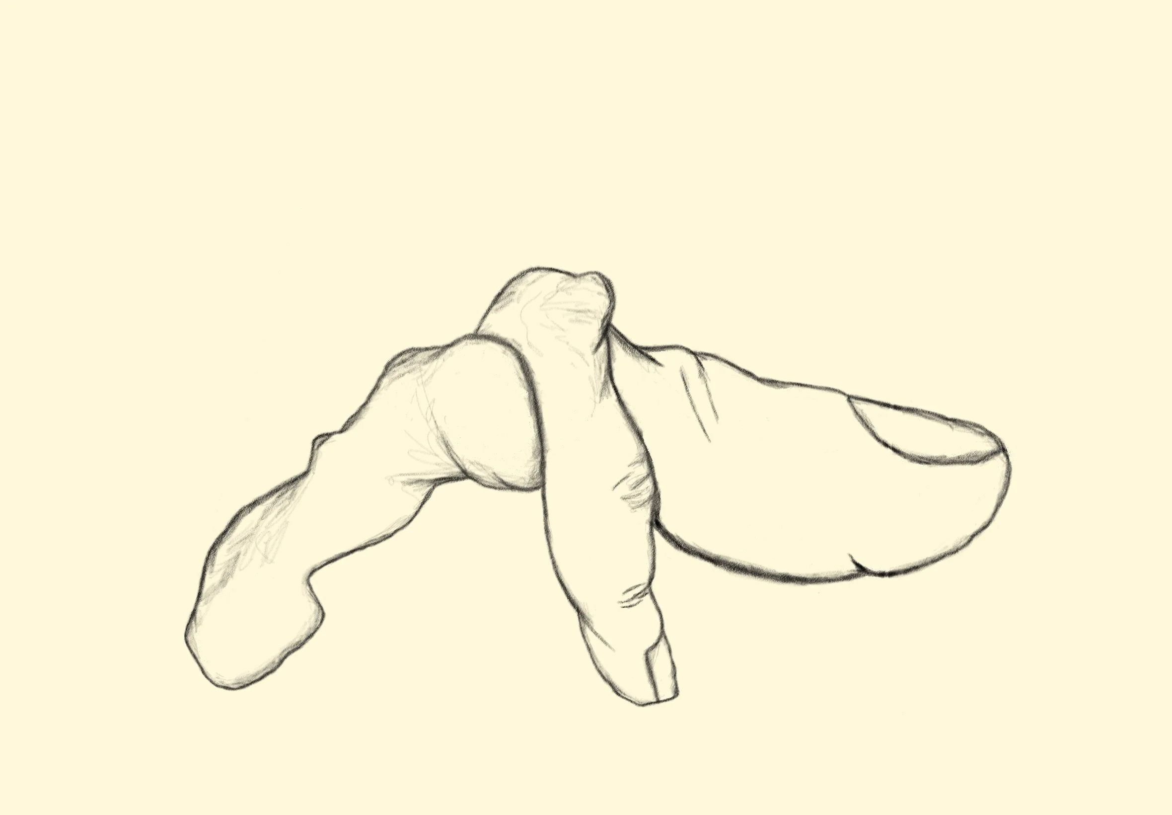 Fingers Crossed, 2026, digital drawing.