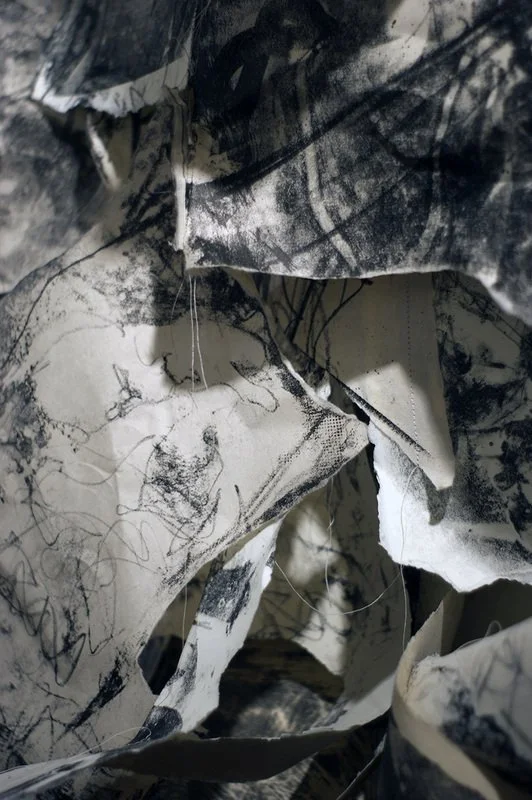 Welcome Home (VAE installation), 2009, stone lithographs and thread