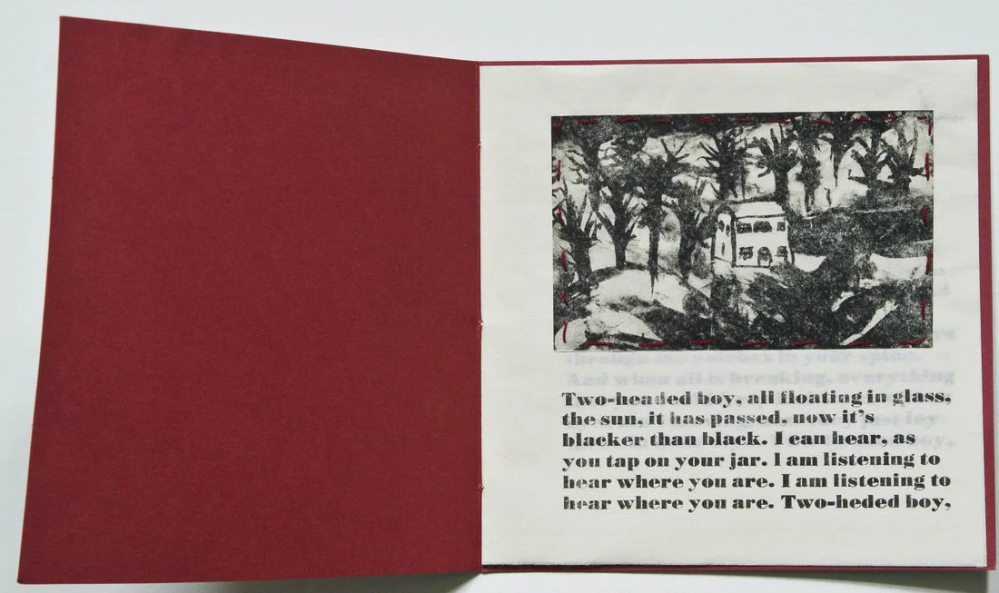 In the Aeroplane Over The Sea, 2008, set of artist's books with letterpress text with photopolymer gravure illustrations