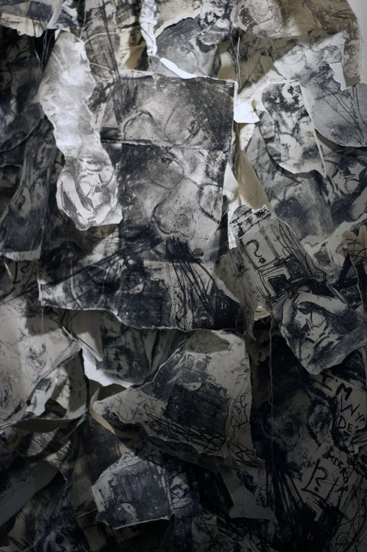 Welcome Home (VAE installation), 2009, stone lithographs and thread