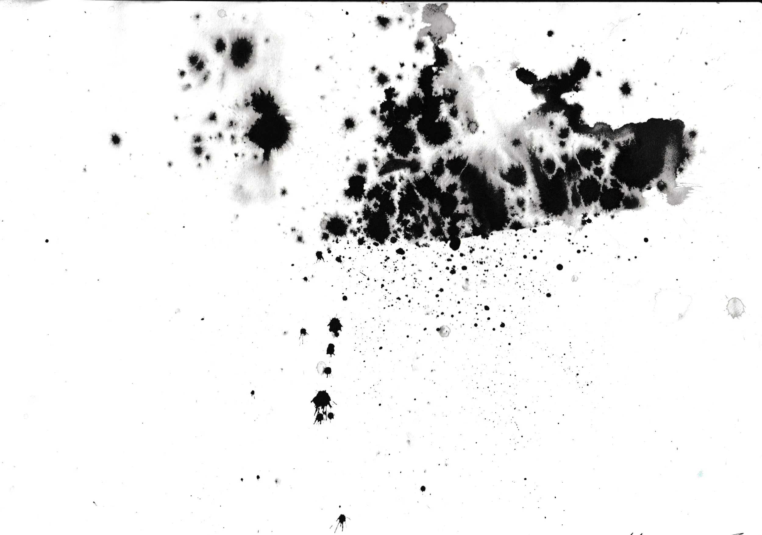 Ink Study IV, 2024, brush and ink