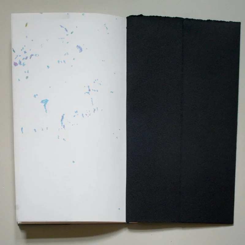 Dear Sister (collaboration with Jaimi Cannata), 2010, artists' book with marker