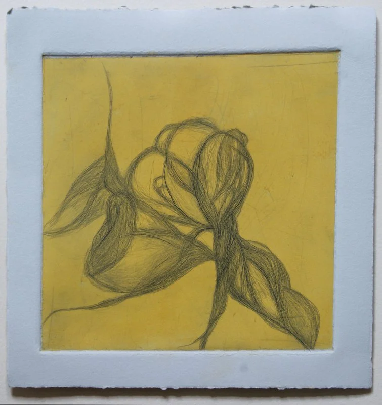Fleur (state 2), 2010, drypoint with viscosity roll