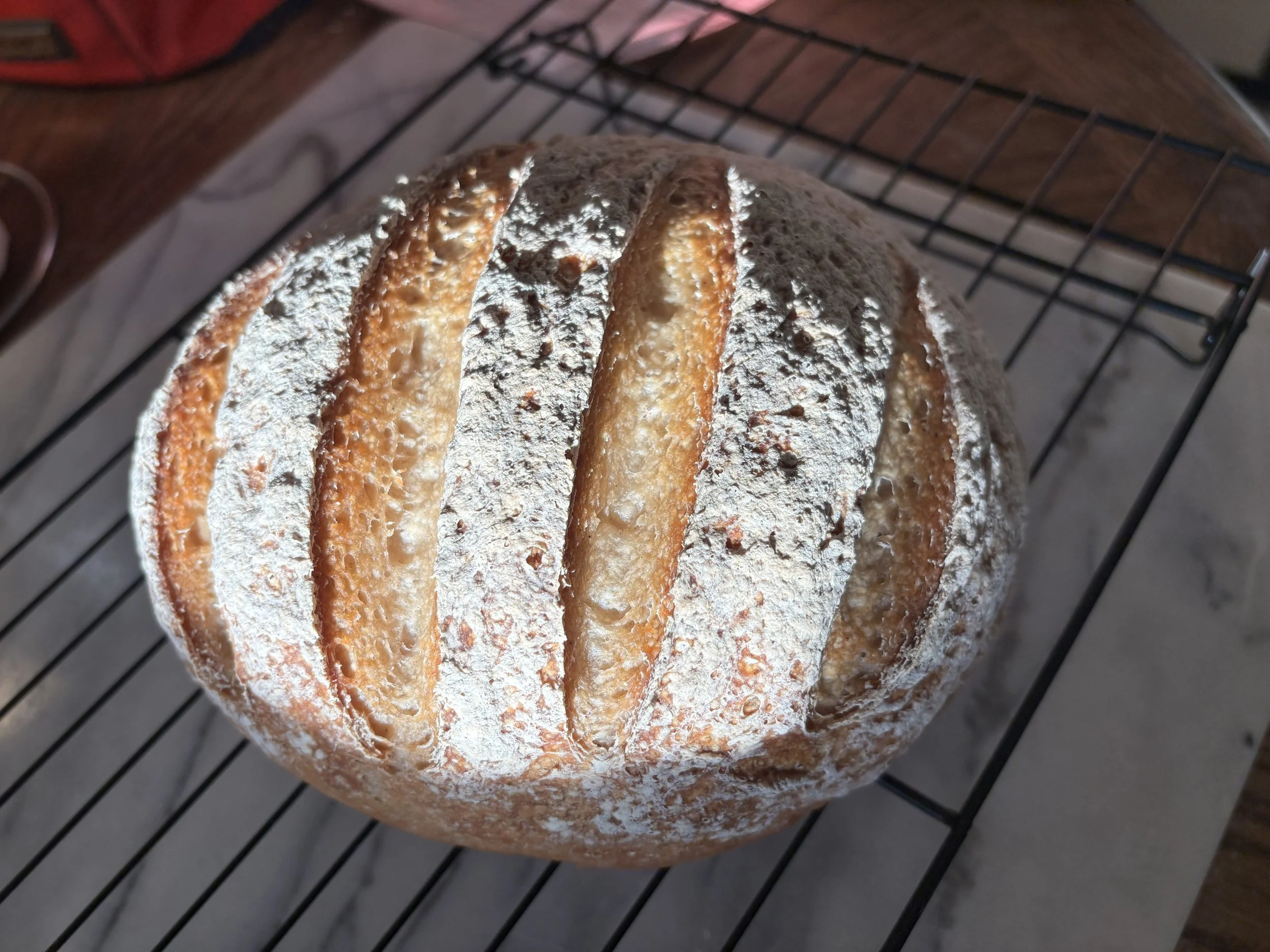 Gluten Free Sourdough