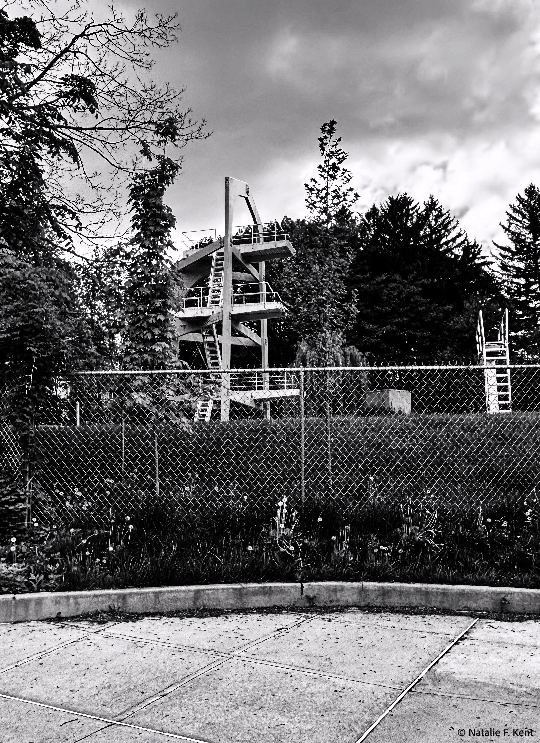 Diving Tower and Board, 2025