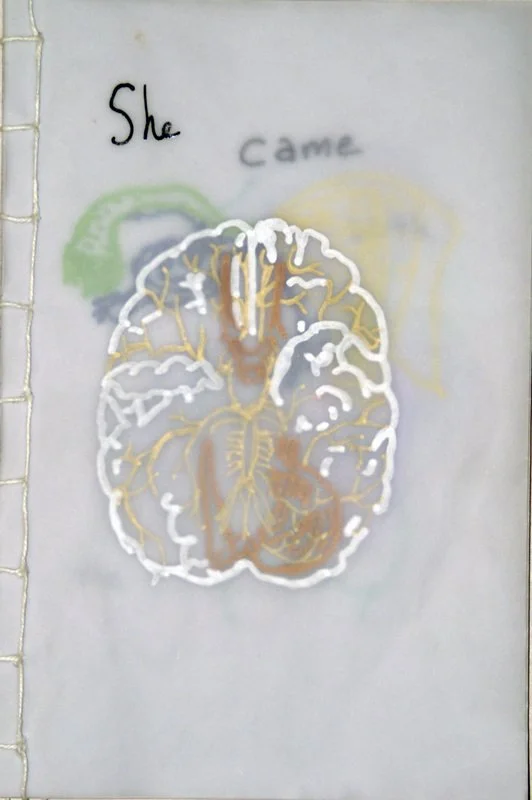 Barbie Book, 2007, artist's book with oil paint marker on vellum 