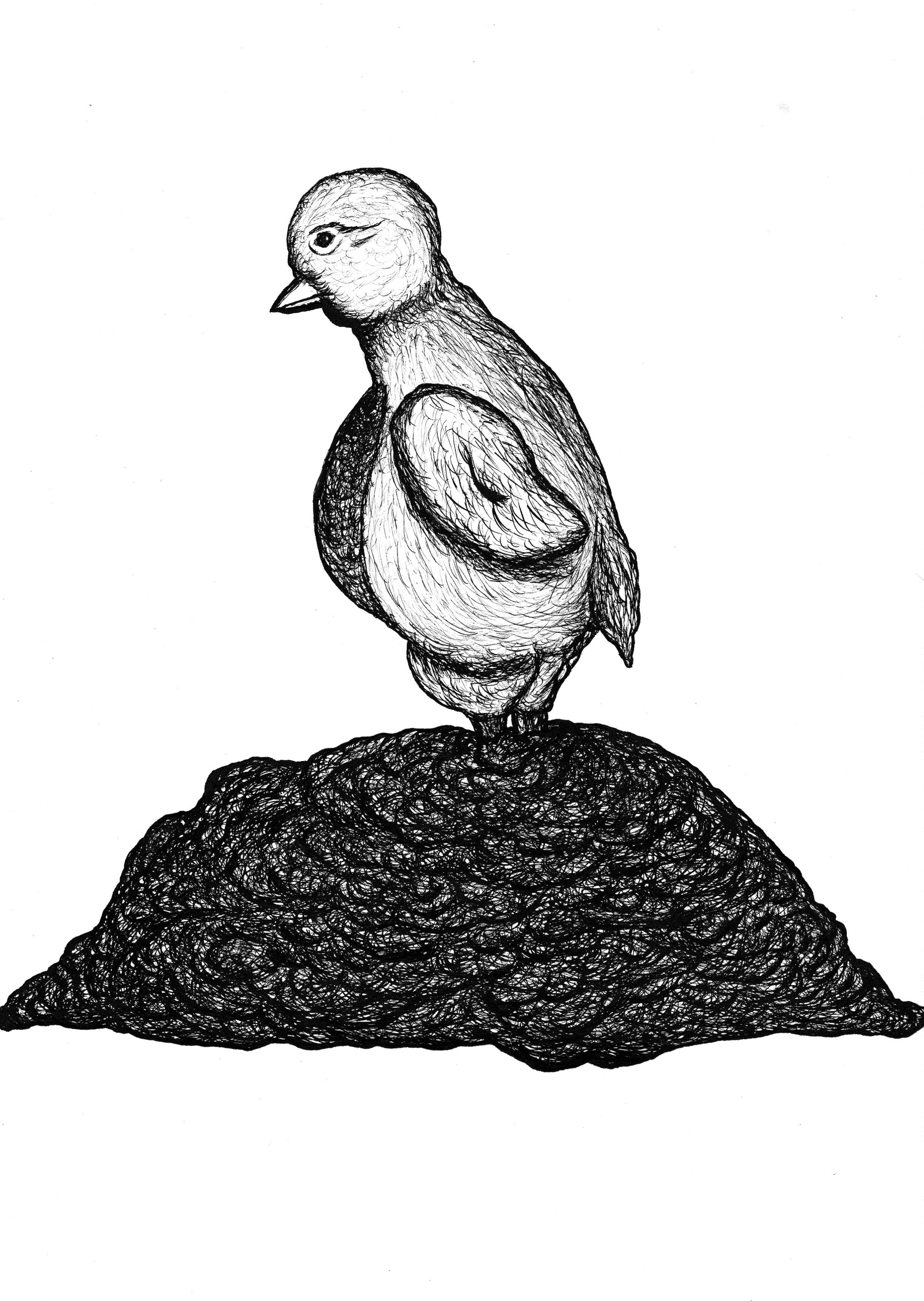 Knee-Deep in a Pile of Pigeon Shit, 2024, pen and ink