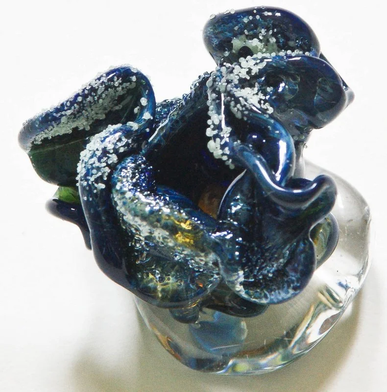 Blue Coral II, 2009, borosilicate glass 