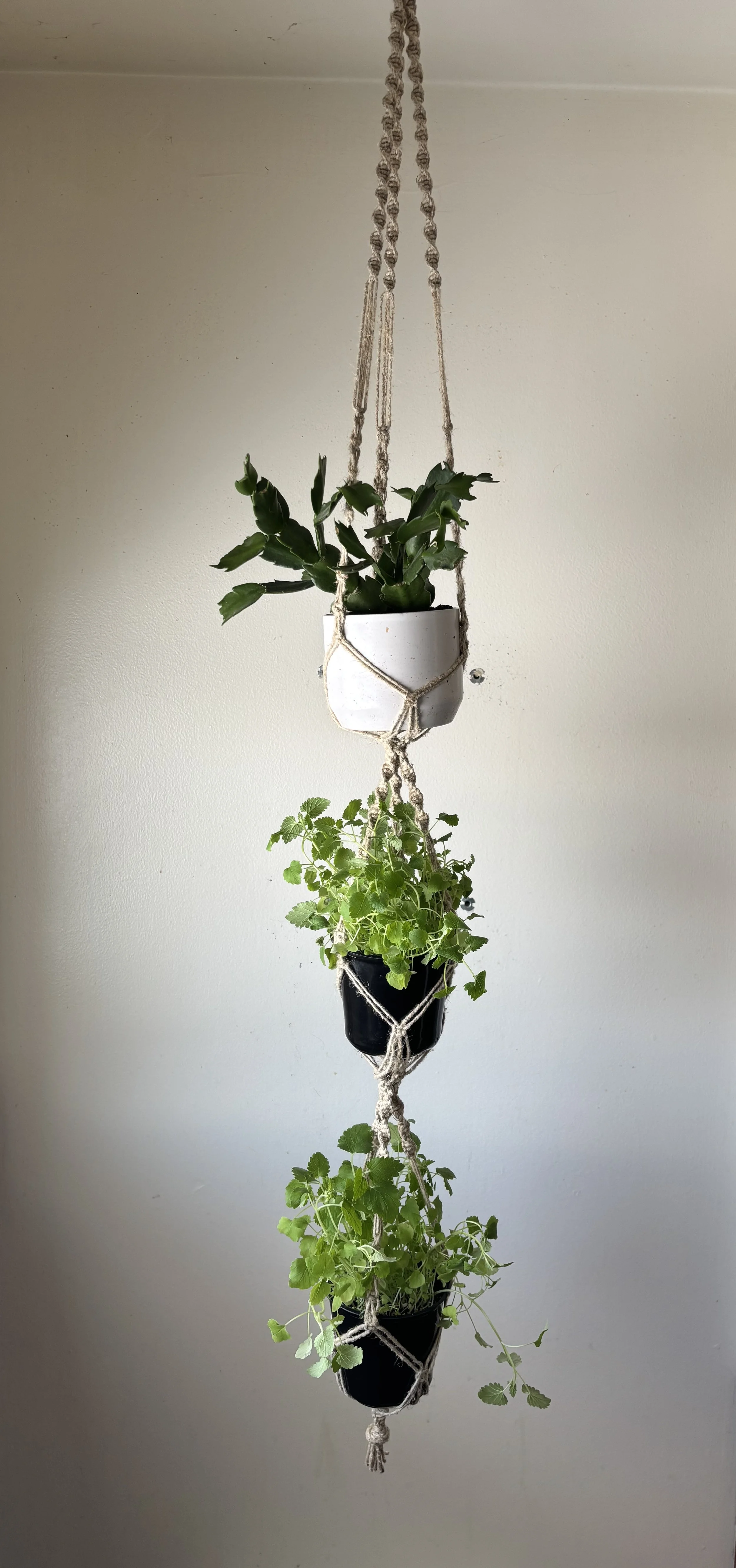 3 Tiered Plant Holder, 2025, hemp cord
