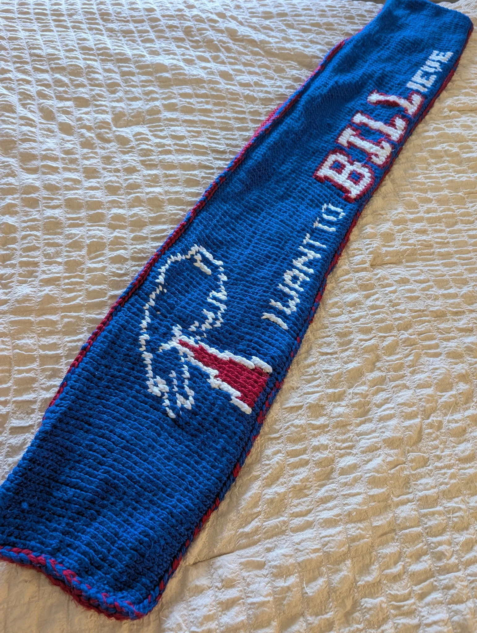 I Want to BILLieve Double Sided Scarf, 2025, hand knit in acrylic