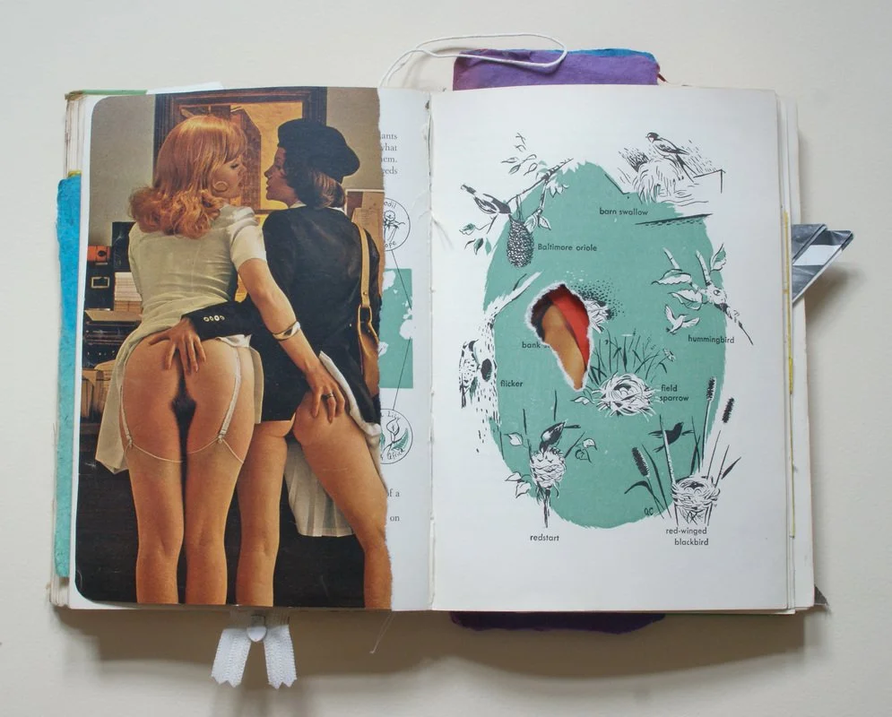 The Girl Scout Handbook or Everything You Need to Know About Being a Woman, 2009, artist's book assemblage