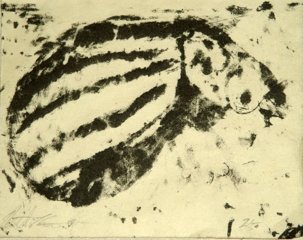 Beetle II, 2007, stone lithograph