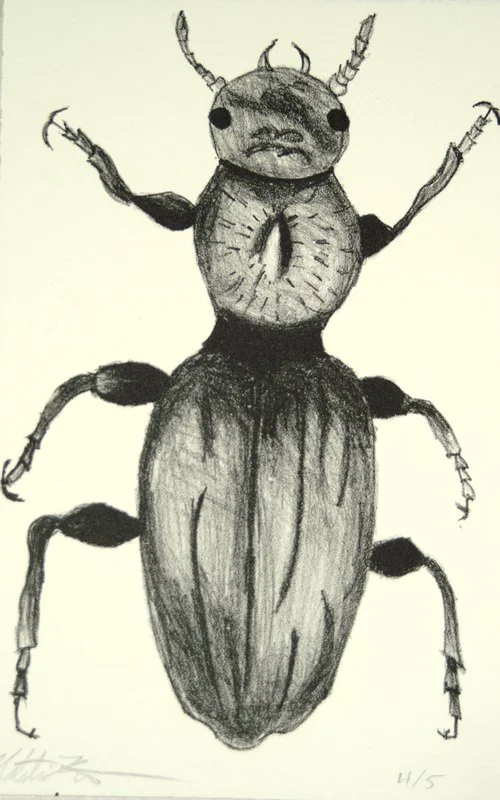 Beetle I, 2007, stone lithograph
