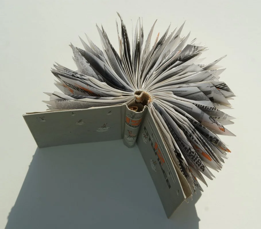 Sputnik, 2009, artist's book