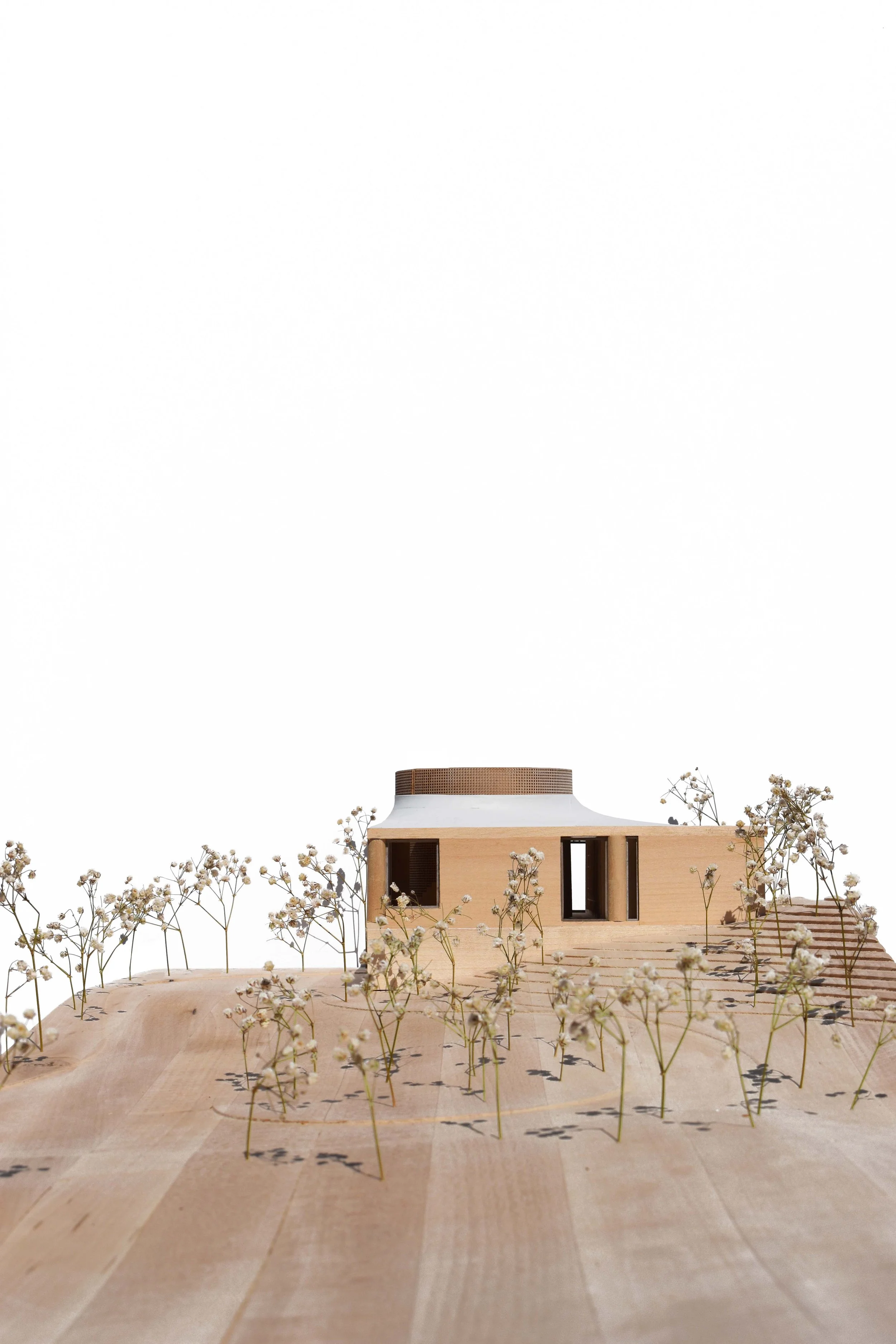 SIP Elevation Image_DSC_0393.jpg