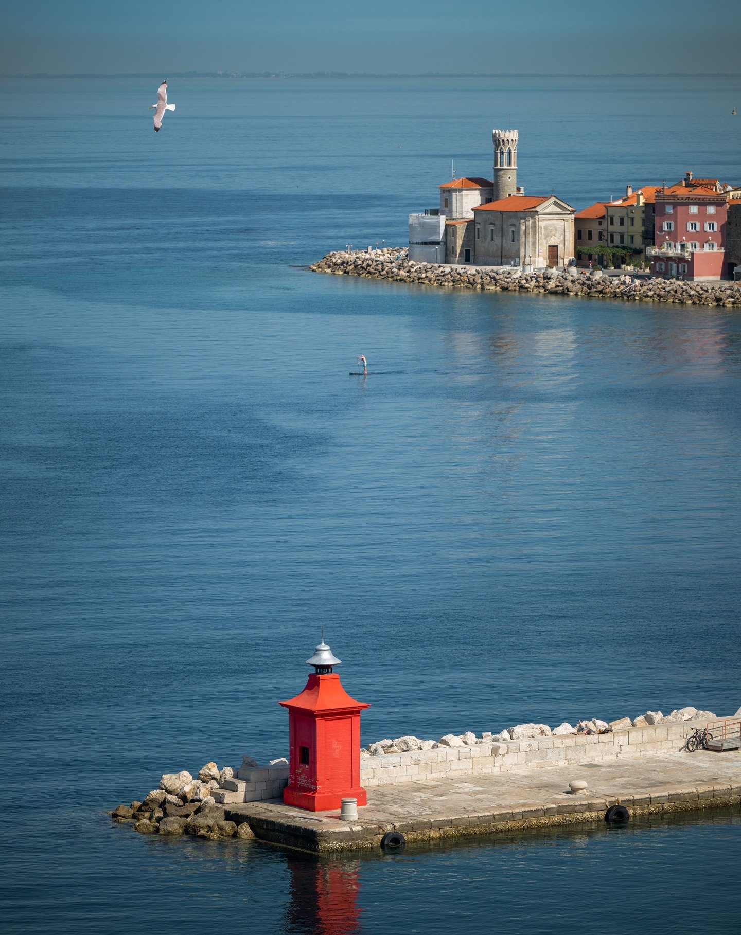"Spring being a tough act to follow, God created June."💯🔥
#poletje #fotografija #piran #slovenija #slovenia #photography #photographer #istra #istria #adriatic #seagull #sup #paddleboard #sea #summer #poletje #june #junij #obalajezakon #