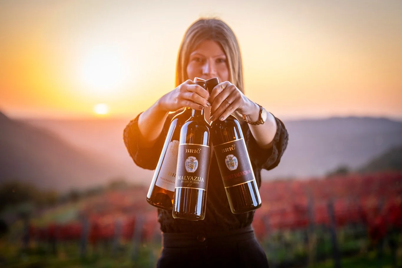 Golden light, red leaves, and the gentle calm of autumn at Brič Winery 🍇✨
A perfect day capturing the season&rsquo;s colors among the vines. 🌿📸

@bricwines

#vino #fotografija #slovenija #feelslovenia #photo #photography #photographer #fotograf #w