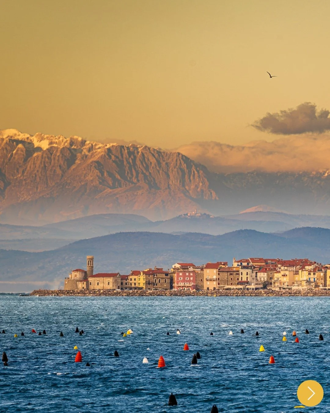 Piran captured from Kanegra in the gentle evening light, a quiet meeting of sea, mountains, and sky 🌊🏞️🌅

Soft golden tones settle over the coast, while in the distance Triglav peeks through a veil of clouds ⛰️☁️

Below, St. George&rsquo;s Parish 