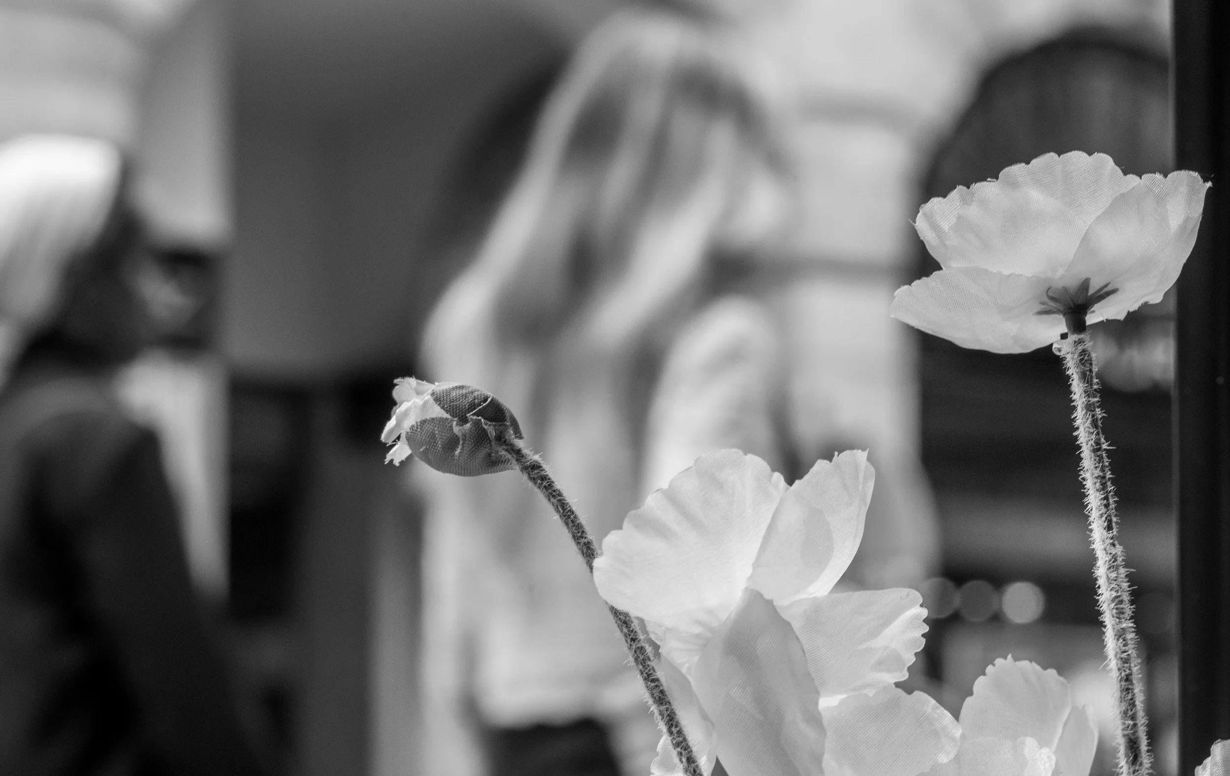 portfolio-pierre-yves-matile-11.jpg
