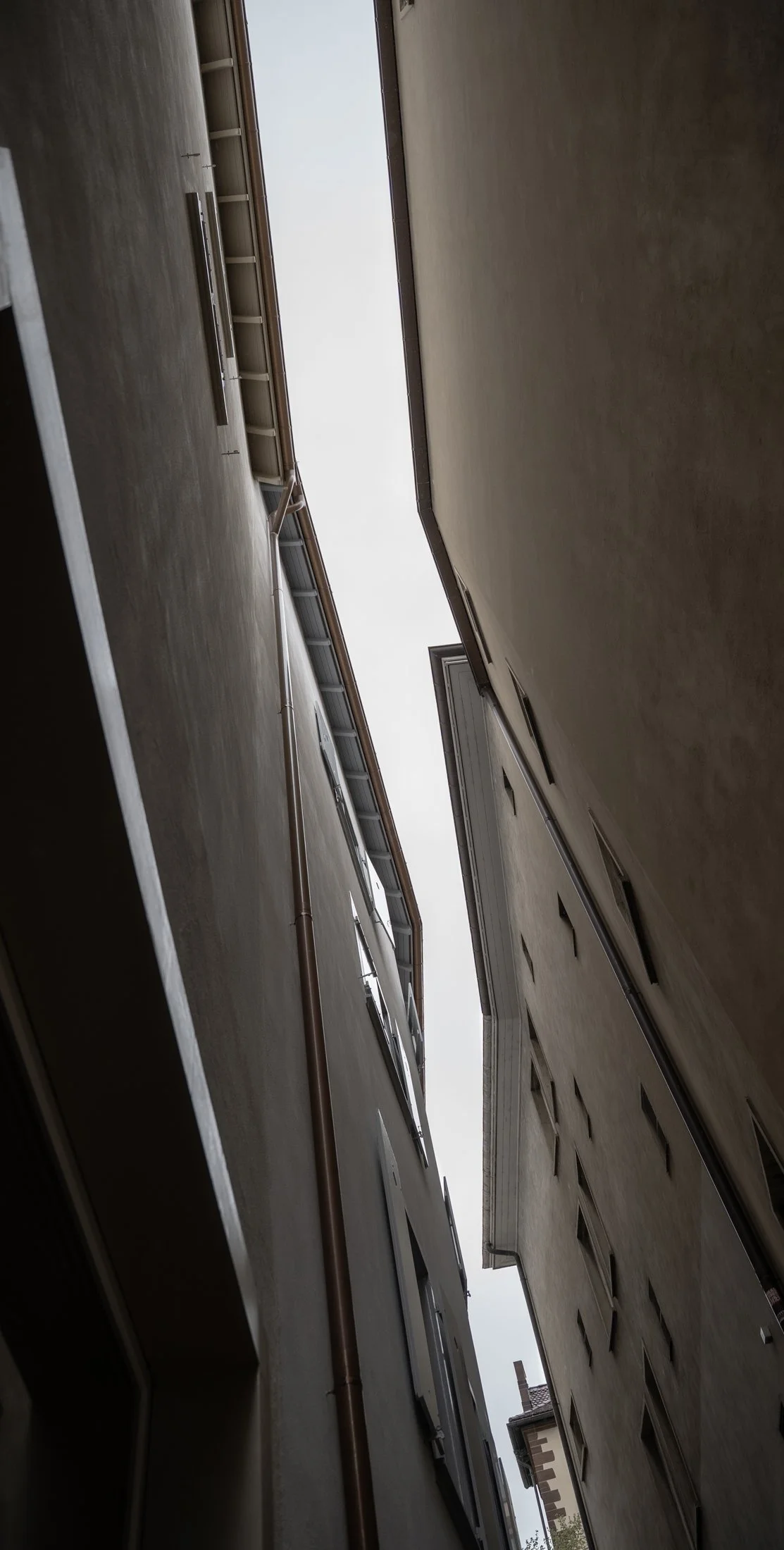 DSC02014.jpg
