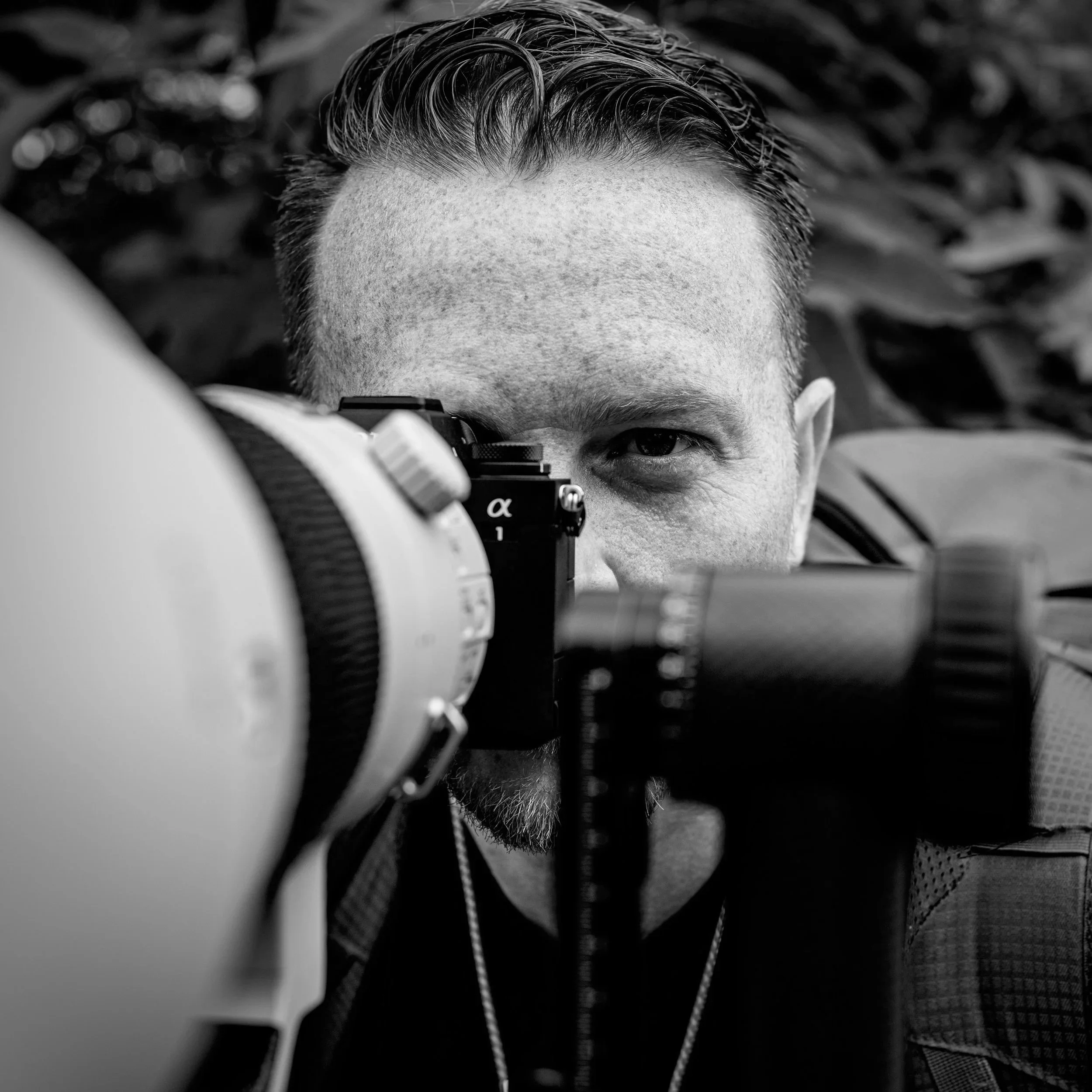 Nils Blattner