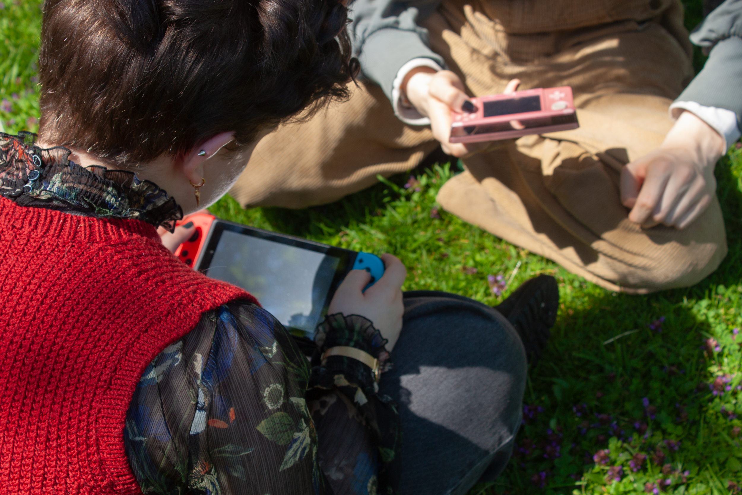 switch og ds bakfra.png