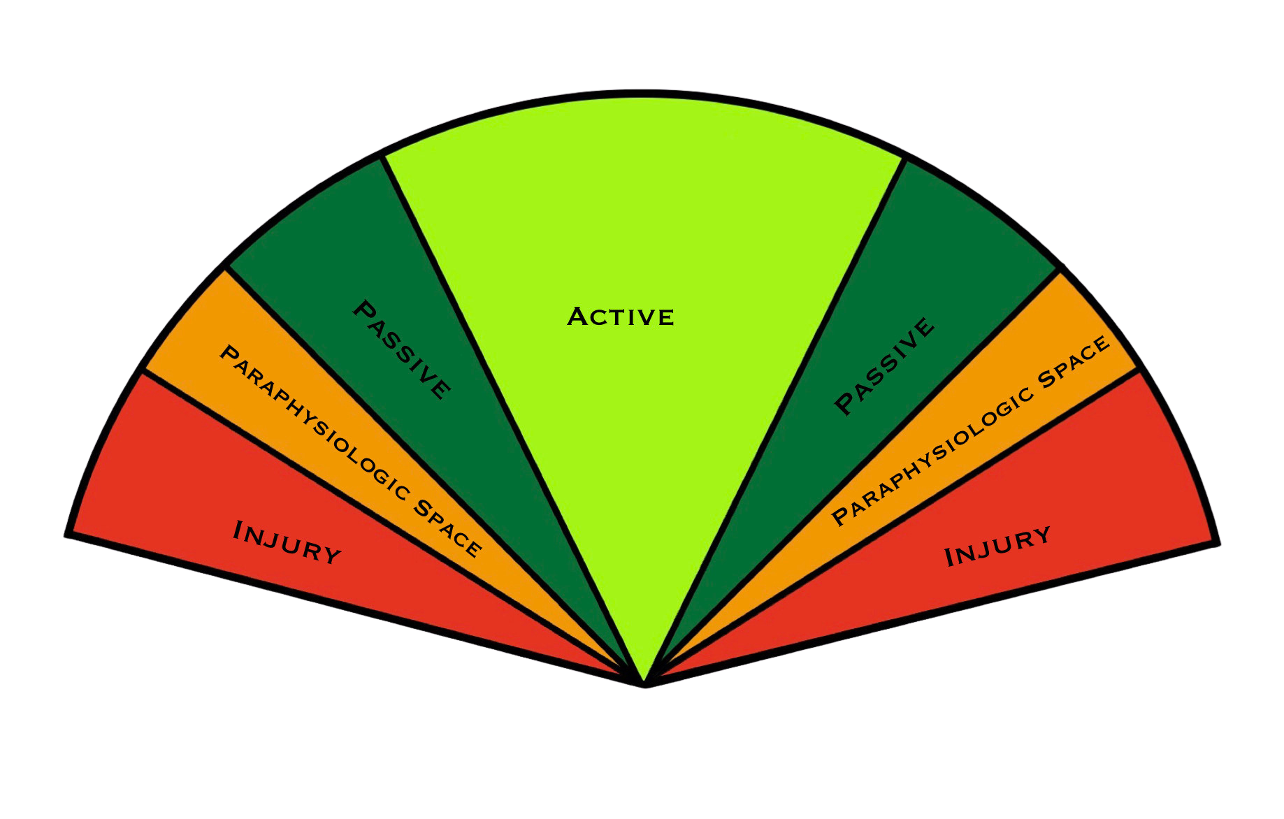 Chiropractic adjustment paraphysiological space. Chiropractic adjustment. Rochester Hills chiropractor