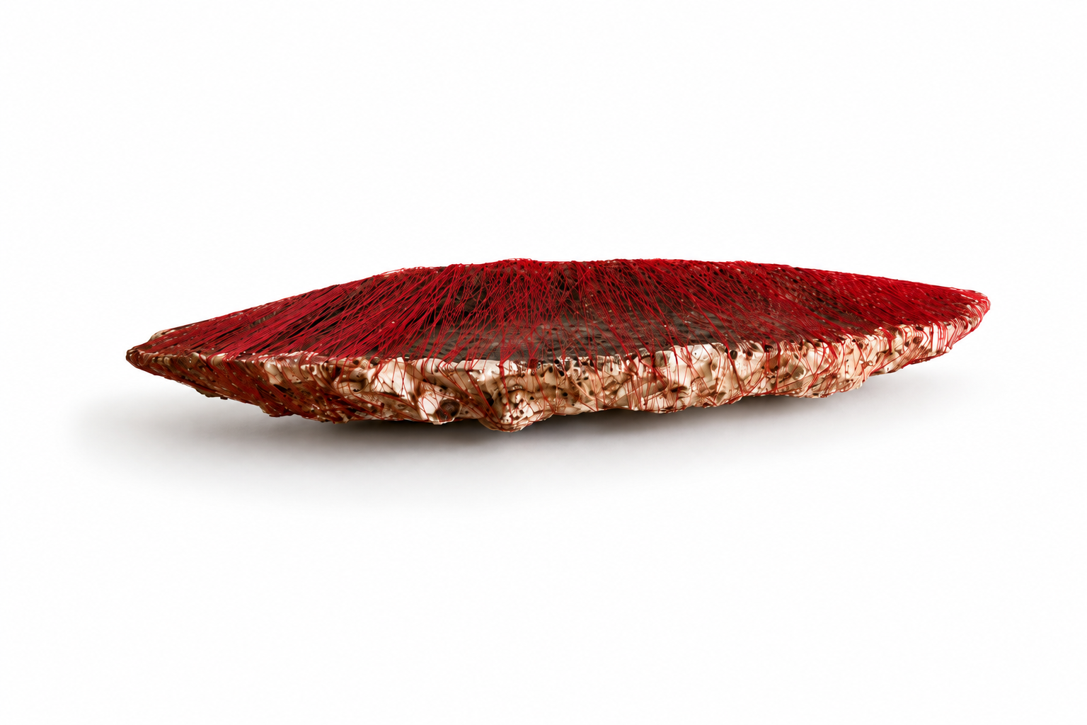 What the Vessel Carries I.  2026
Paper pulp, cement residue, coffee, earth pigment, thread and reclaimed shells
125cm x 56cm x 28cm
