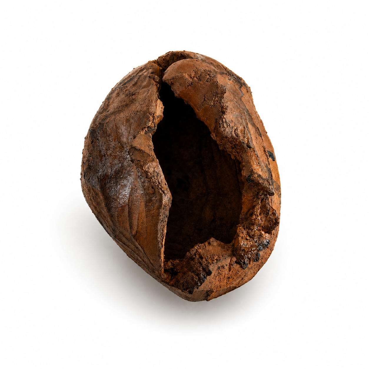 Ìkòkò. 2026
Terracotta, Coffee, Pigment, Fibre
35cm x 12cm x 16cm
