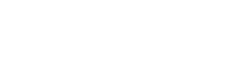 Double S Consulting
